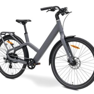 MS ENERGY eBike Veles Grey