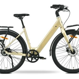 MS ENERGY eBike Zorya Plus Silver Gold