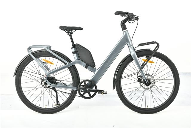 MS ENERGY eBike Veles Plus special gold
