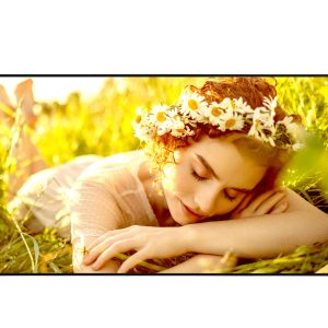 LG 65UL5Q -E, UHD Signage, 500nits, 3xHDMI, DP