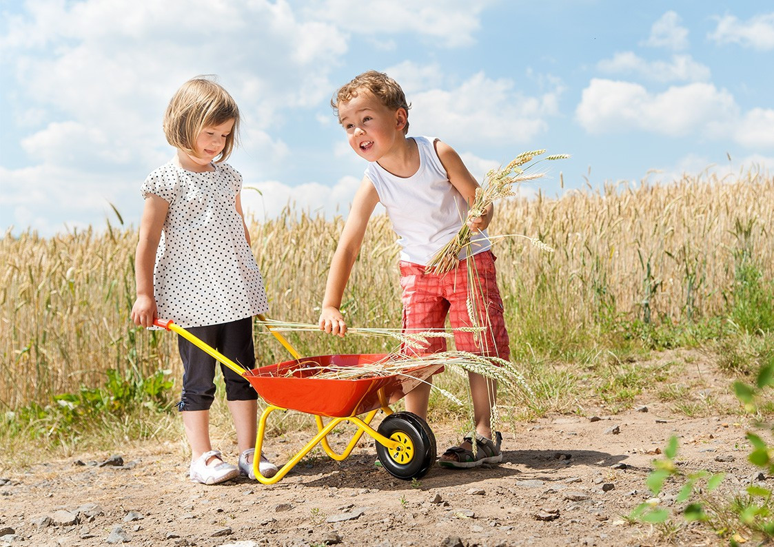 Rolly Toys red metal wheelbarrow for children - Slika 3