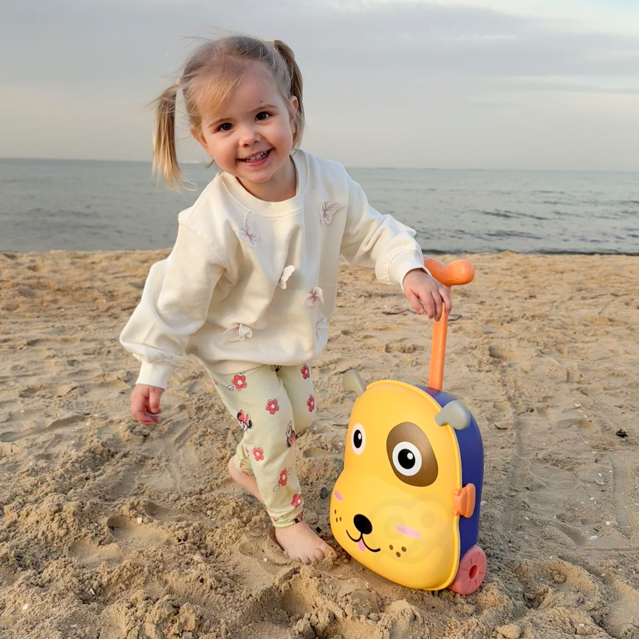 WOOPIE 3-in-1 Sandbox Set, Suitcase, Dog, Water Table - Slika 7