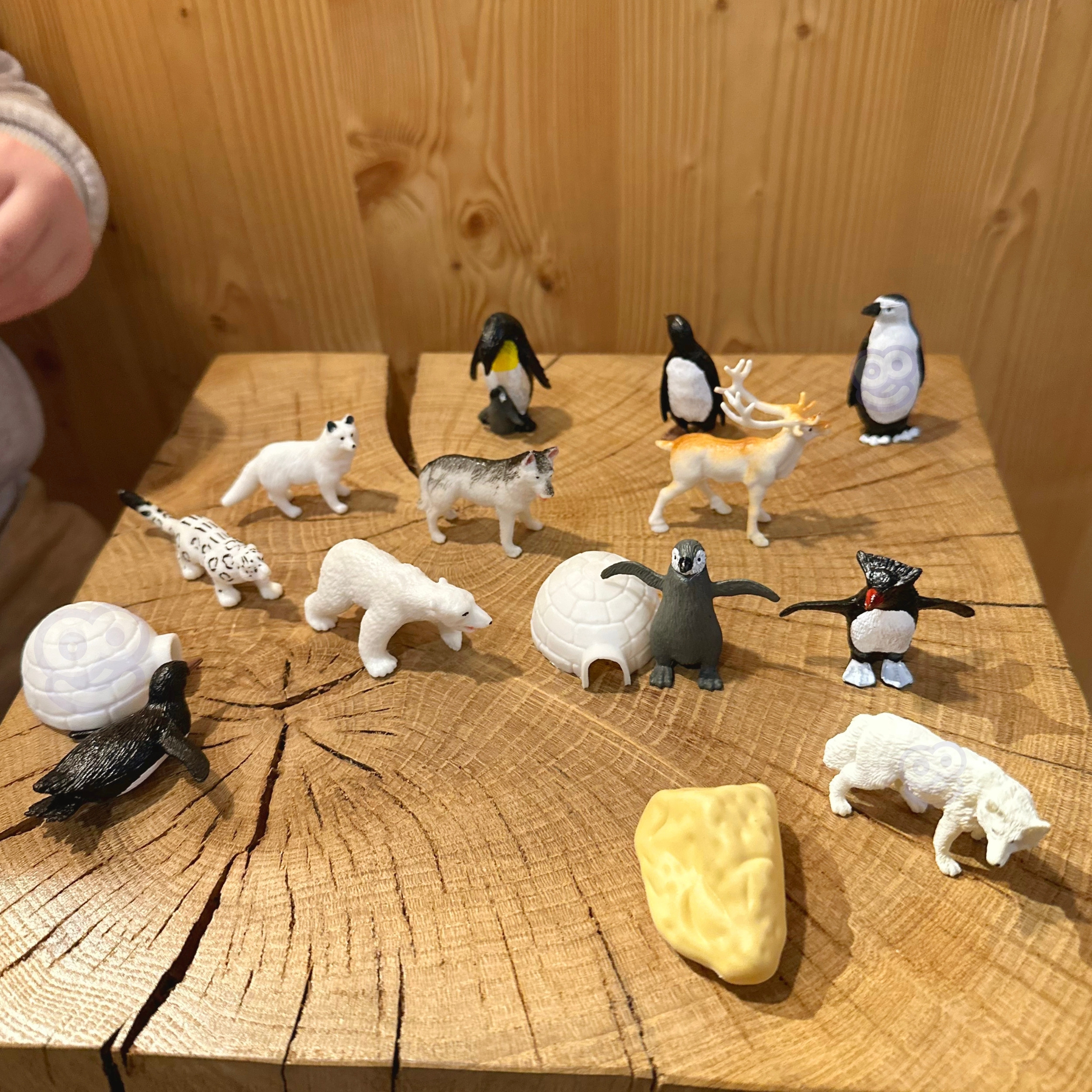 WOOPIE Arctic Animals Figures Set 16 pcs. - Slika 2