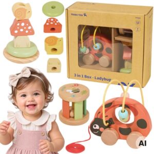 TOOKY TOY Ladybug 3-in-1 Developmental Play Set