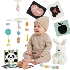 CLASSIC WORLD Baby Gift Box Baby Shower Teether Cuddly Toy
