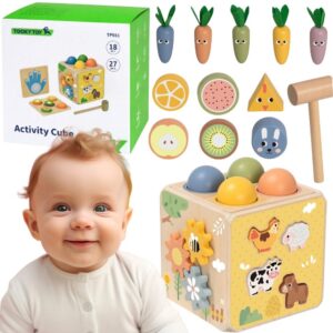 TOOKY drveni Spring edukativni Cube 5-in-1