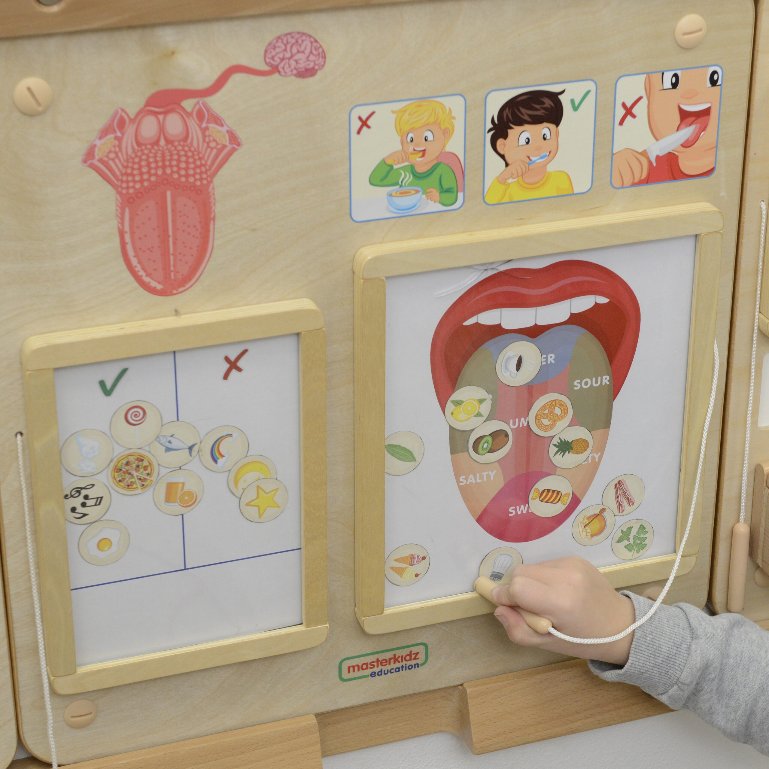 MASTERKIDZ Montessori Sense of Taste edukativna ploča - Slika 2