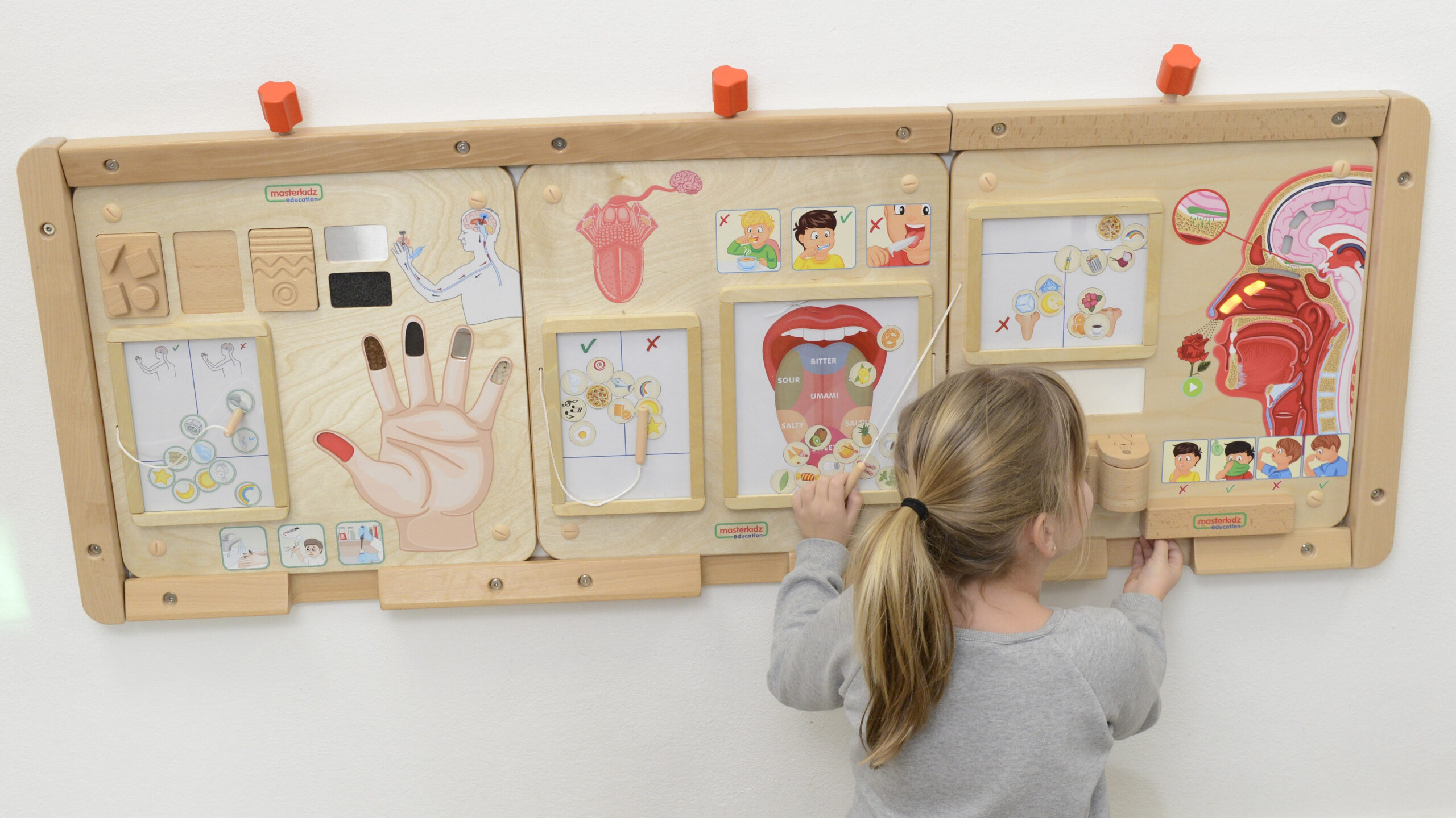 MASTERKIDZ Montessori Sense of Taste edukativna ploča - Slika 3