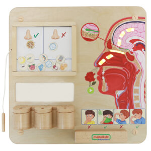 MASTERKIDZ Montessori Sense of Smell Educational Board