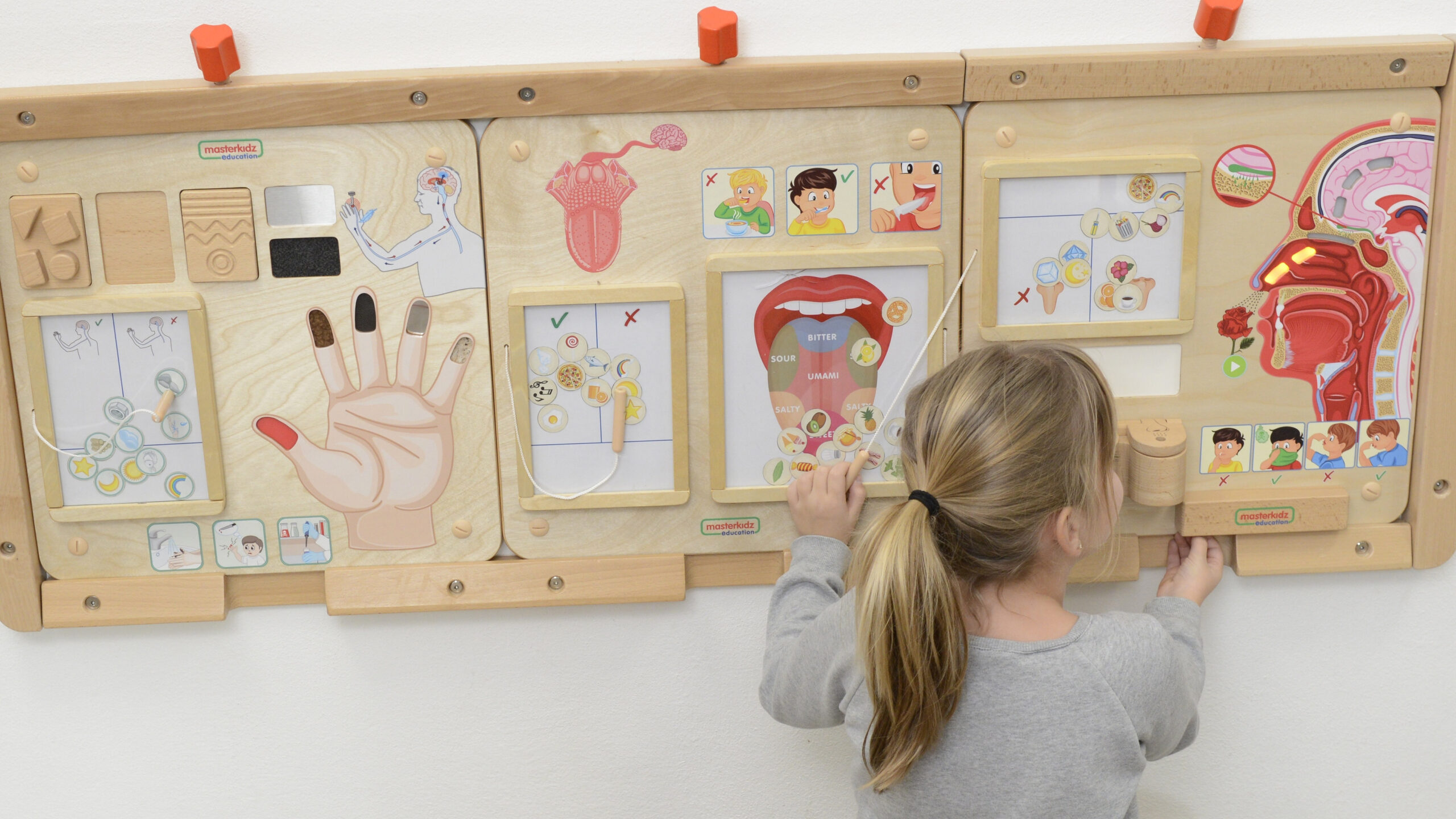 MASTERKIDZ Montessori Sense of Smell Educational Board - Slika 2