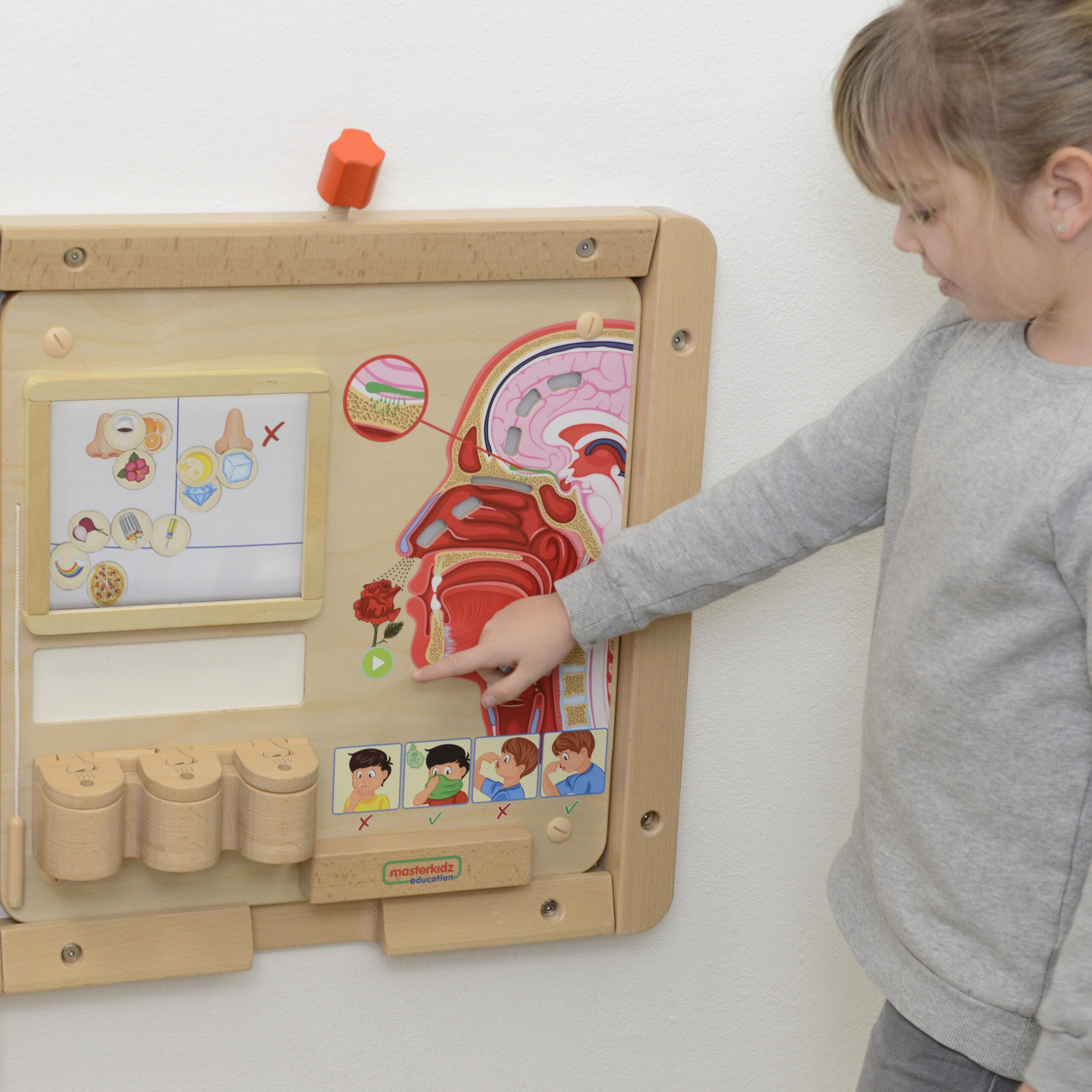 MASTERKIDZ Montessori Sense of Smell Educational Board - Slika 5