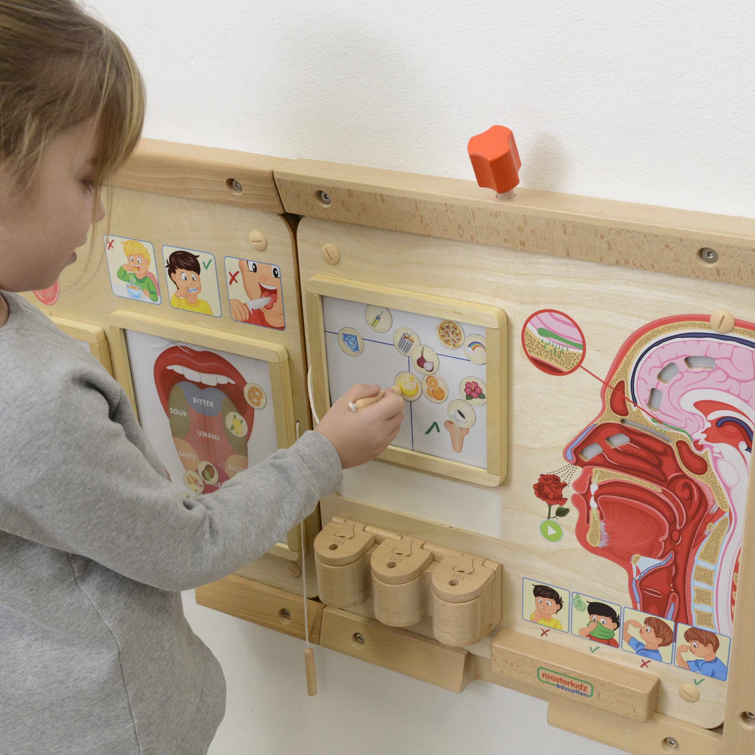 MASTERKIDZ Montessori Sense of Smell Educational Board - Slika 7