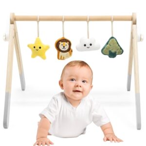 VIGA PolarB Baby Gym Infant Stand