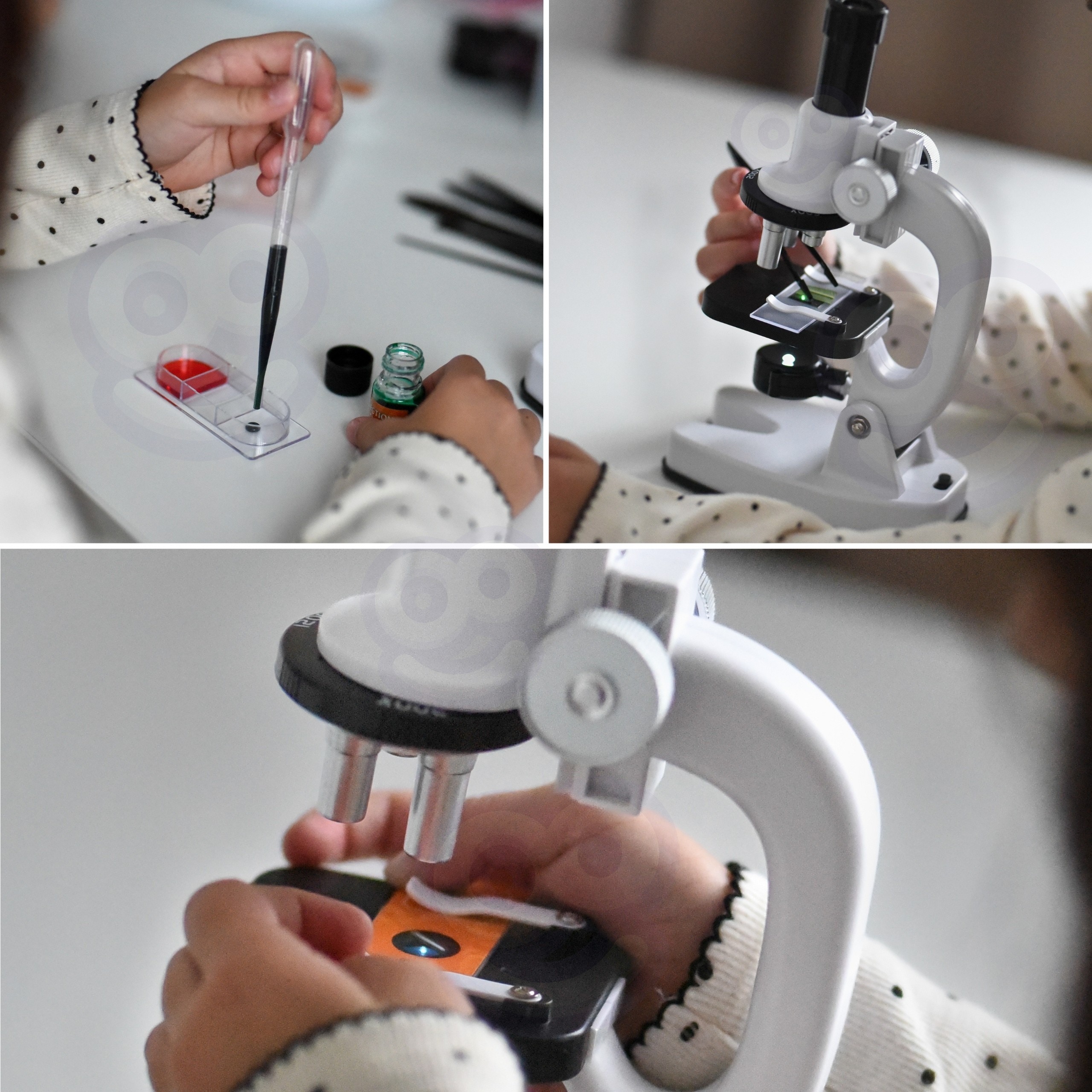 WOOPIE Digital LED Microscope 1200x Zoom XXL Kit with Smartphone Adapter - Slika 5