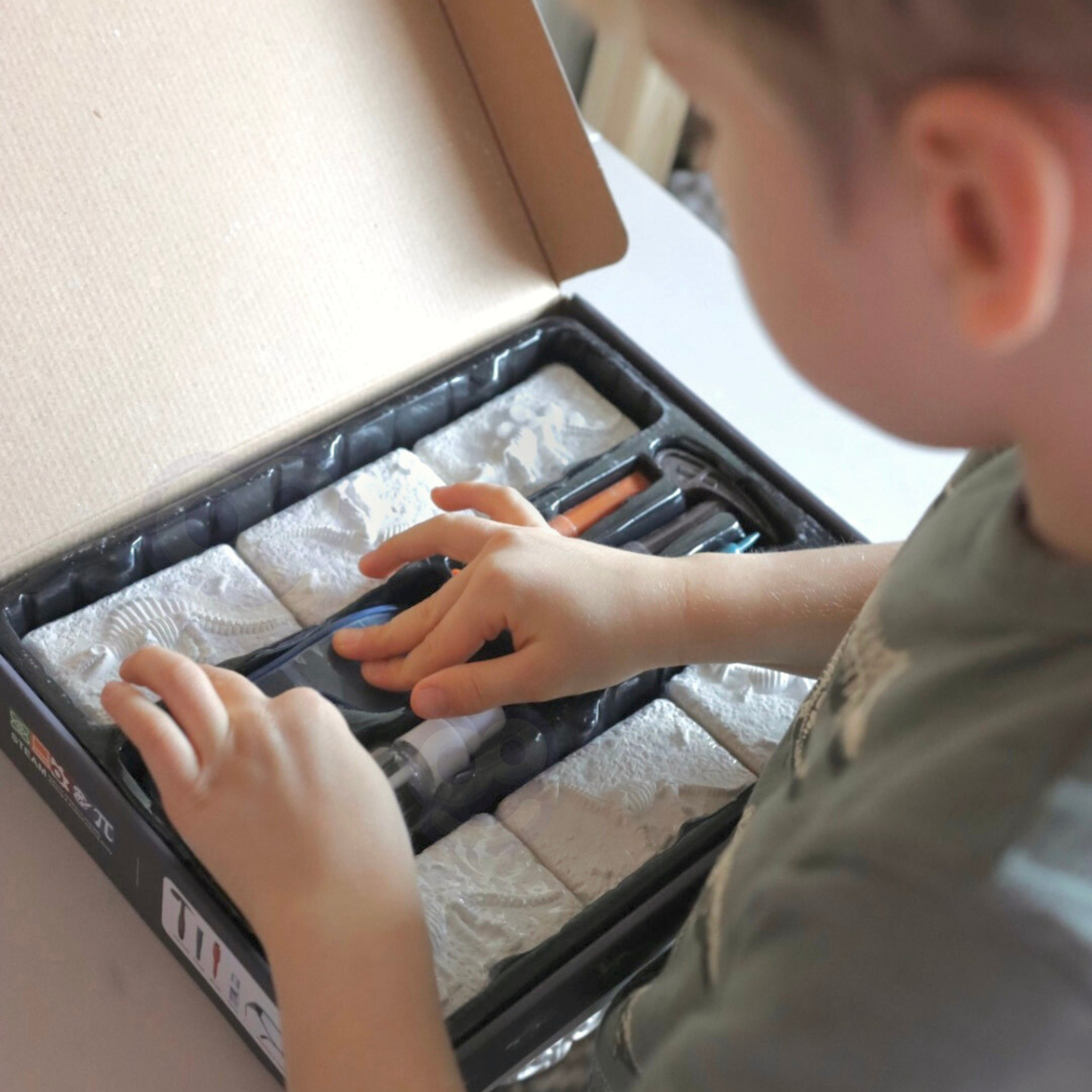 WOOPIE "Little Archaeologist" Excavation of 6 Dinosaur Skeletons - Slika 5