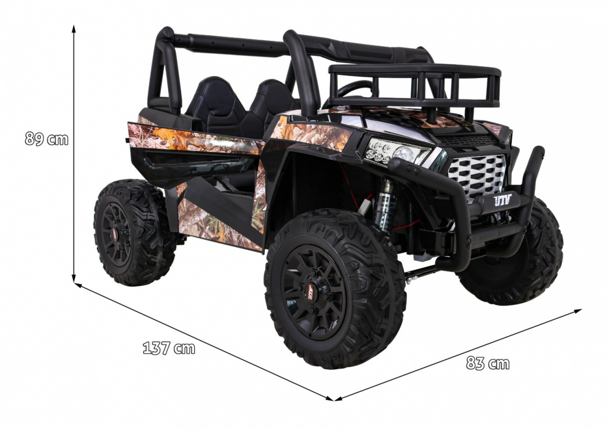 Vehicle Buggy UTV Black