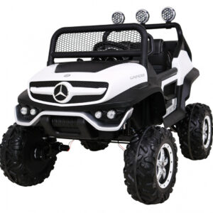 Mercedes BENZ UNIMOG