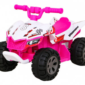 Vehicle Quad THE FASTEST Pink
