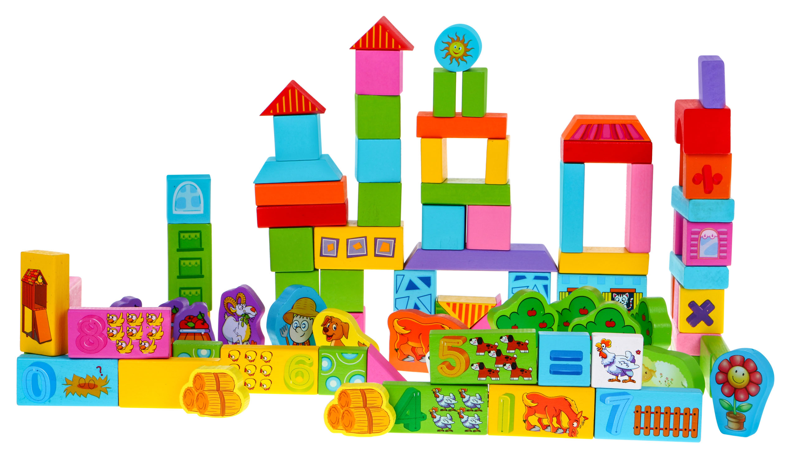 Wood Brick Set 100pcs