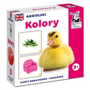 Educational Game “English Colors”