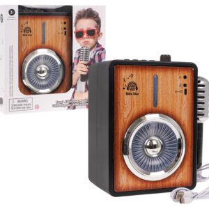 Amplifier s Bluetooth + mikrofon function