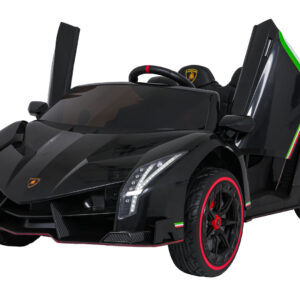 Vehicle Lamborghini Veneno Black