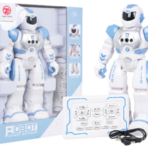 Multifunctional Robot SMART-BOT