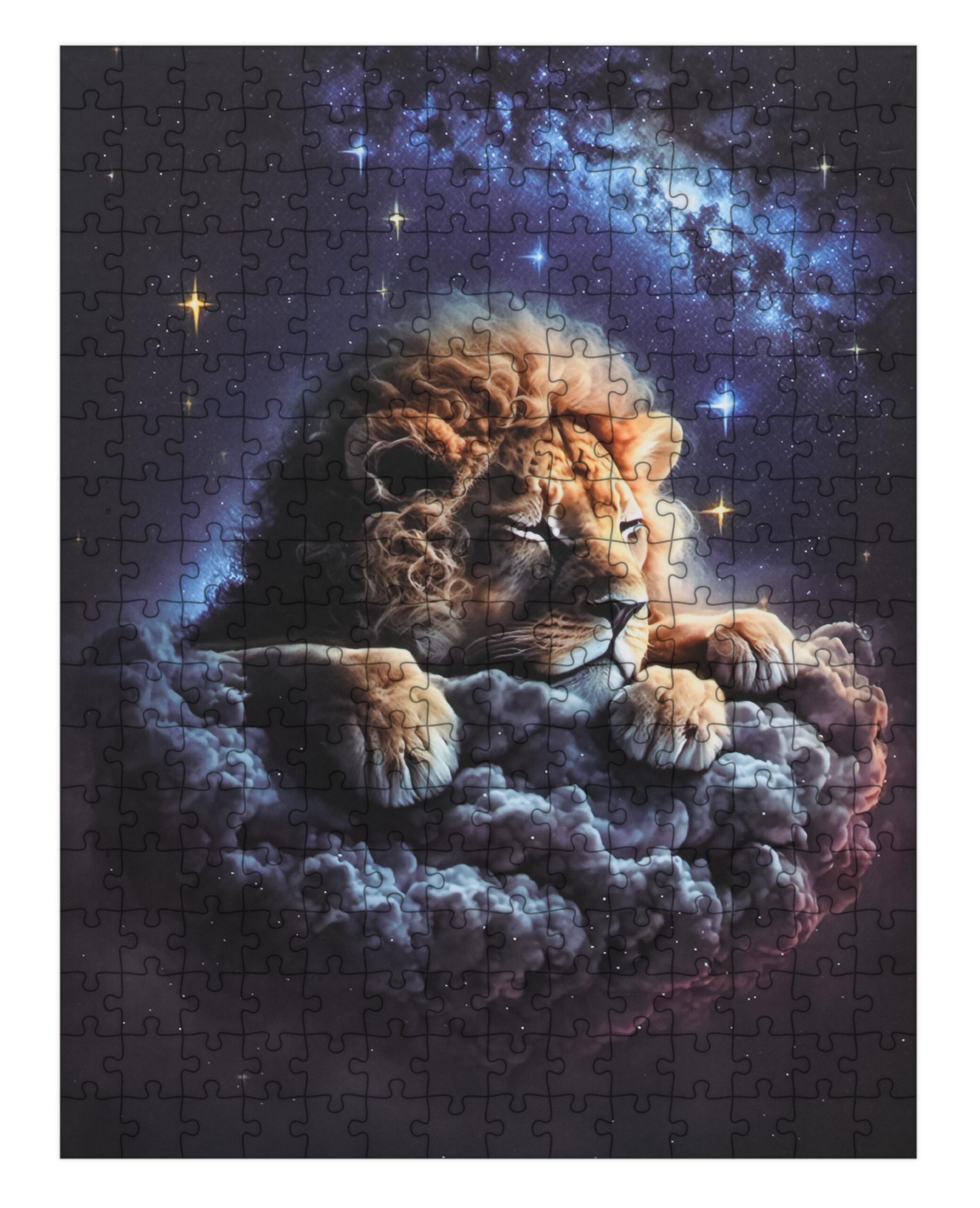 Puzzle Set 300pcs Lion