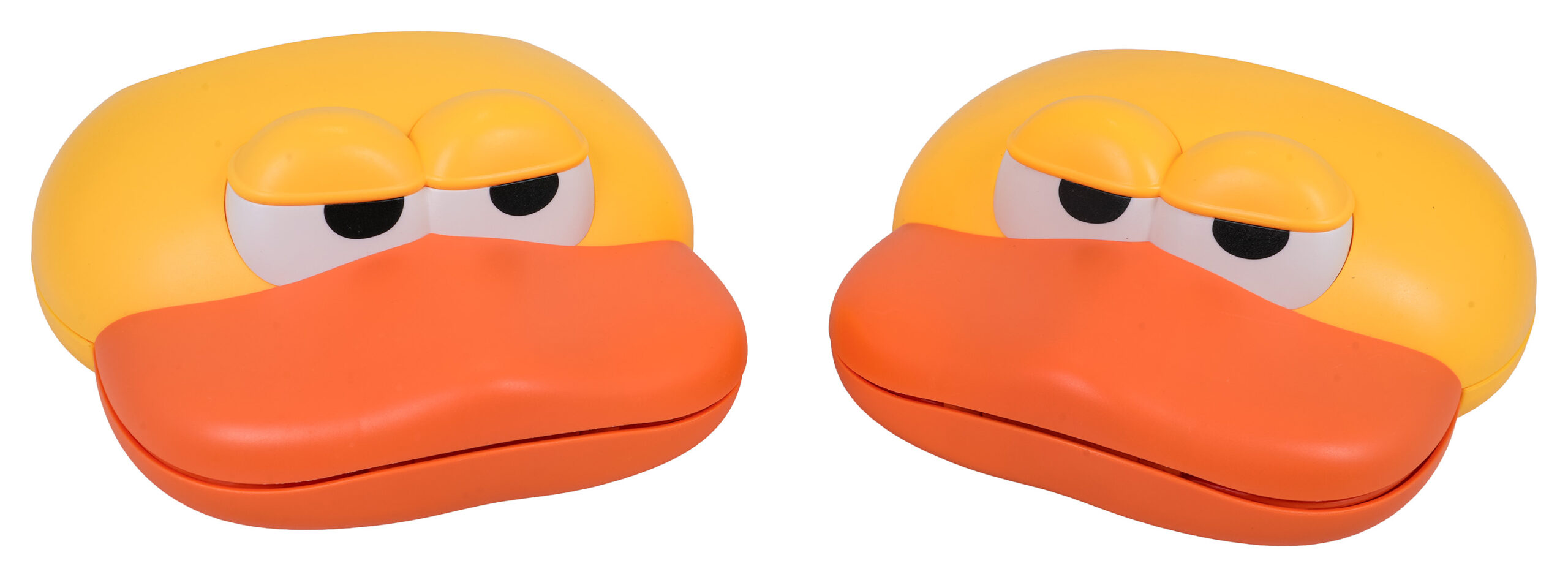 Duck Catching Skill Game