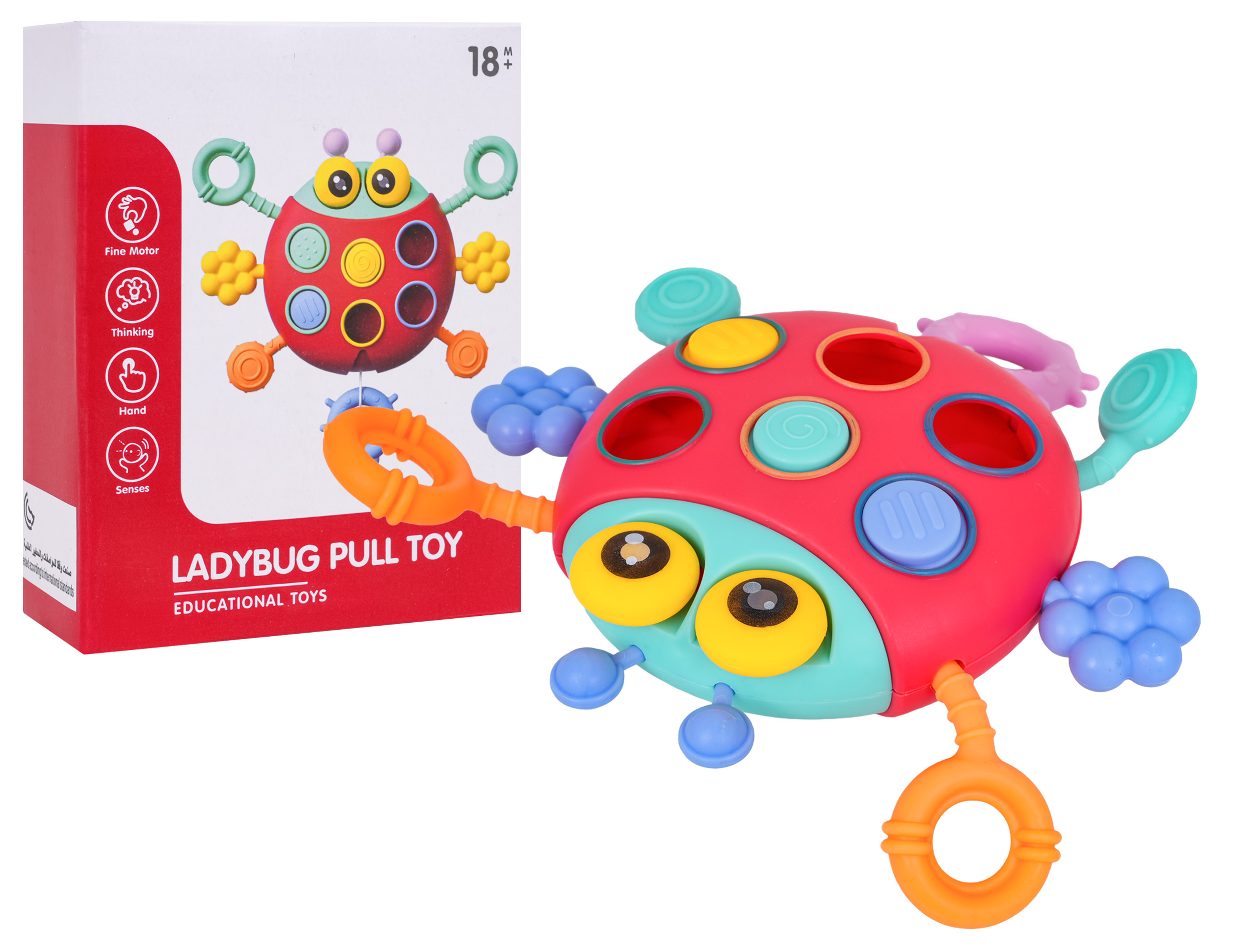 Multifunctional Ladybug For The Youngest