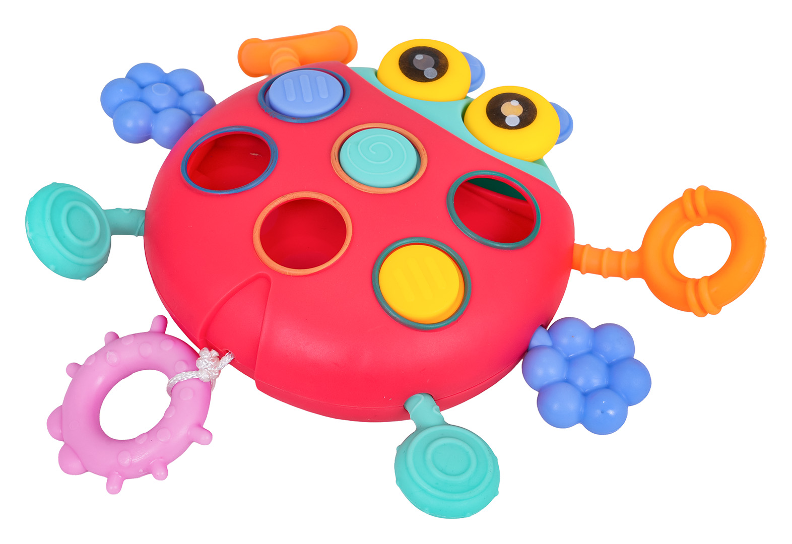 Multifunctional Ladybug For The Youngest