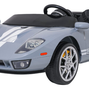 Vehicle Ford GT Gray