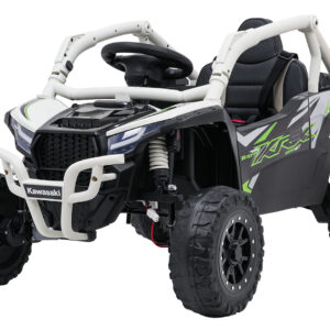 Kawasaki TERYX KRX1000 sivi buggy