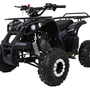 WILDPEAK 110cc Black Combustion Quad Vehicle