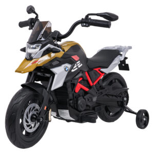 Vehicle Motor BMW G310GS Champagne
