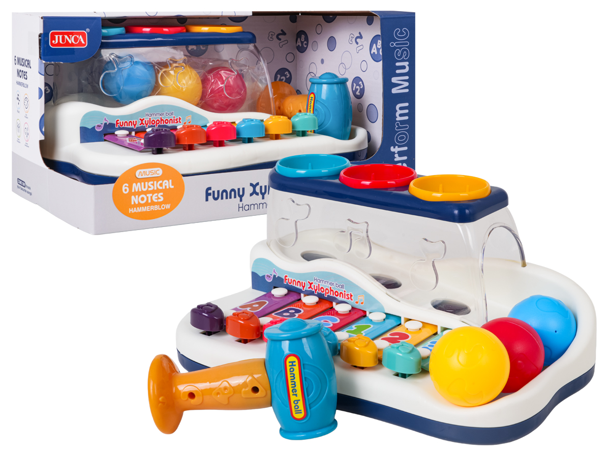 2-in-1 Music Set